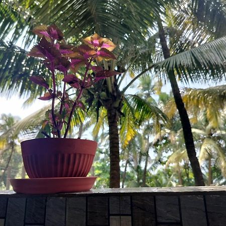 Kumbaya Beachside Hostel & Apartments At Arambol Beach Экстерьер фото