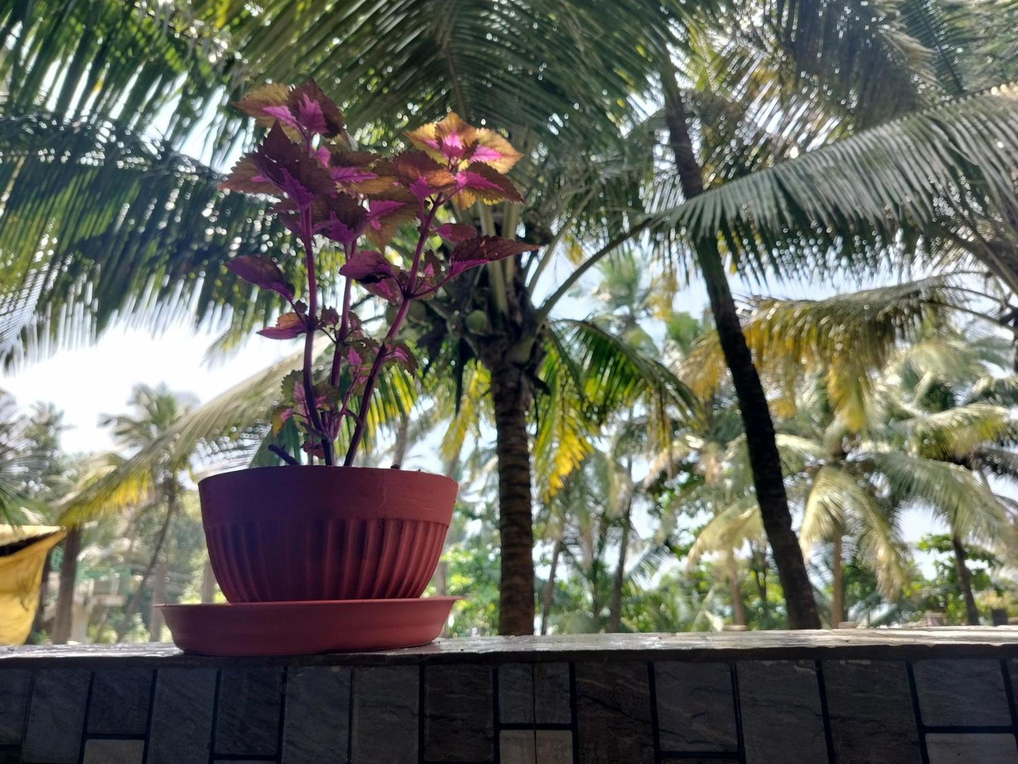 Kumbaya Beachside Hostel & Apartments At Arambol Beach Экстерьер фото